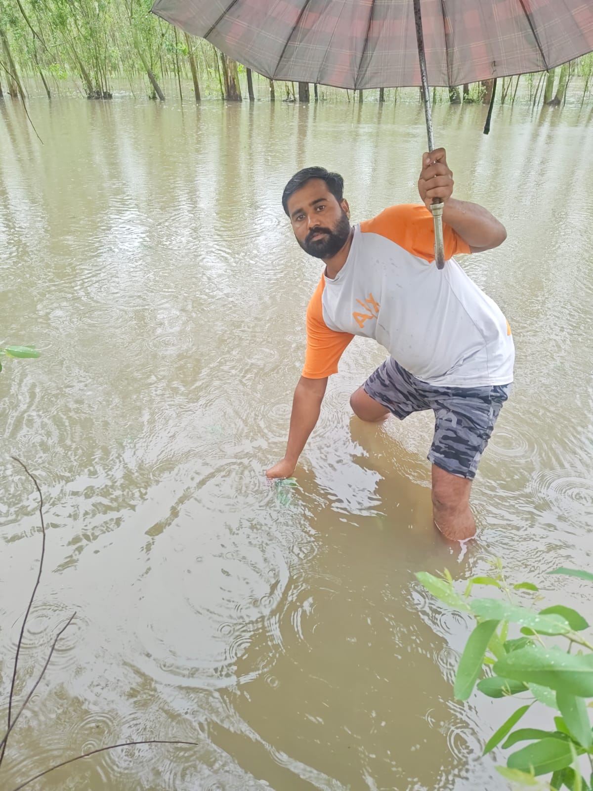 बरेली में मूसलाधार बारिश ने धान की पकी फसल बर्बाद की, किसानों को भारी नुकसान