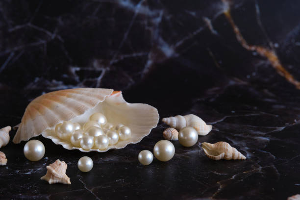 Pearl Farming Scheme Launched in Bareilly to Boost Farmers' Income