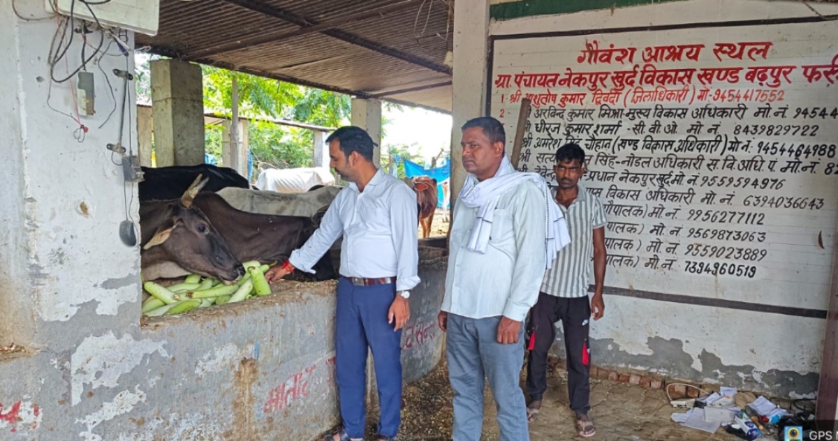 Farrukhabad Cow Shelter: 'Seva Sankalp Abhiyan' Boosts Sanitation Efforts