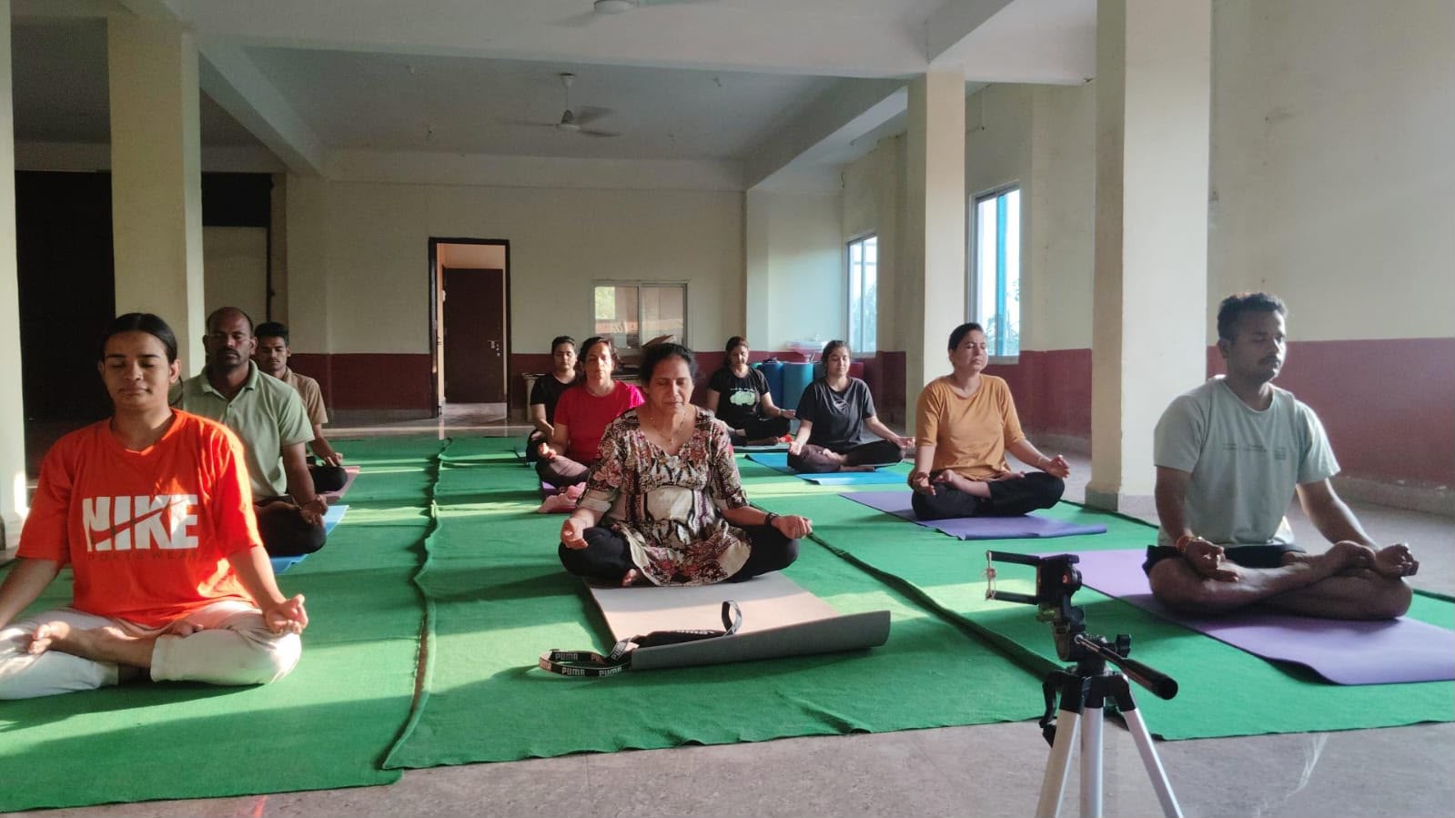 Ayurveda Day Highlights Importance of Yoga and Ayurveda