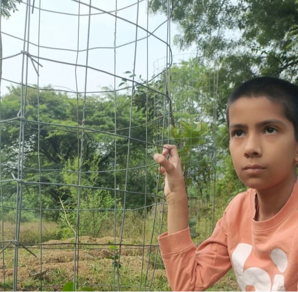 Rare 'Ravana Fruit' Planted in Narsinghgarh, A New Step in Biodiversity Conservation