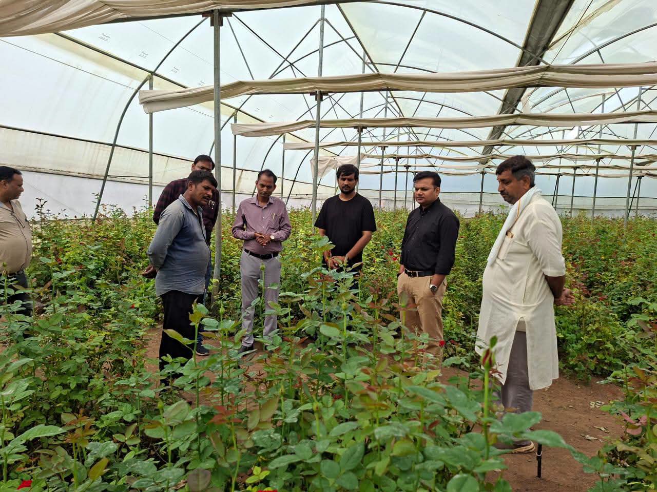 Flower Production Cluster to Boost Farmer Incomes in Guna