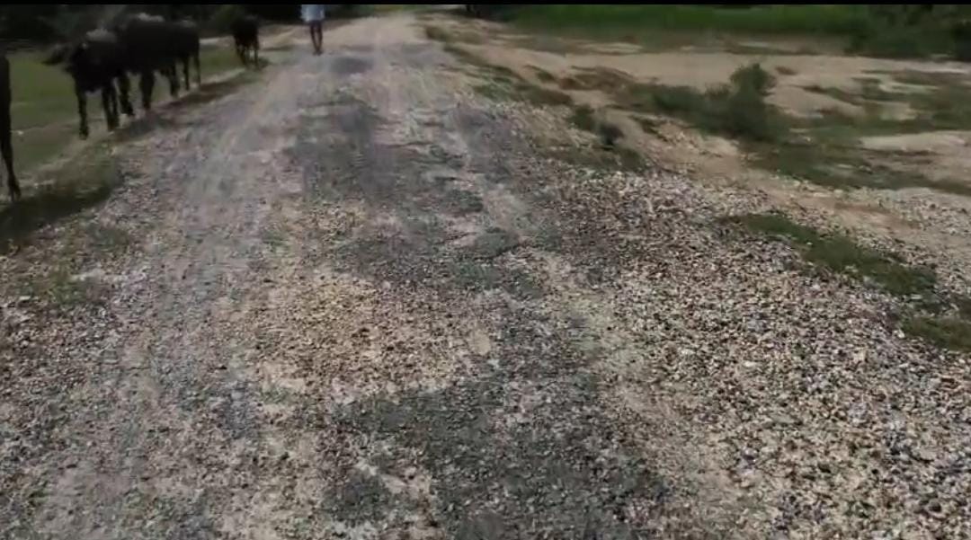 Balrampur: Villagers Distressed by Dilapidated Road, Demand Immediate Construction
